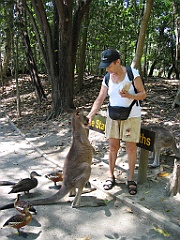 248 Wildlife Habitat Port Douglas